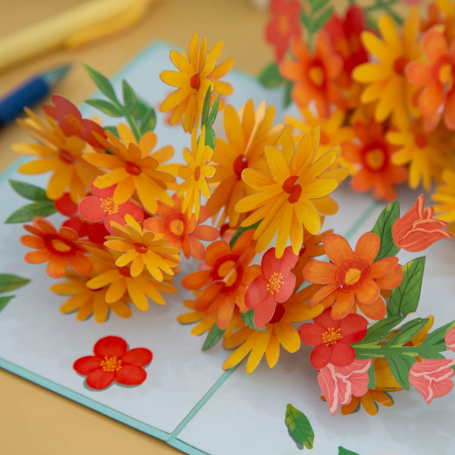 Bunte Gänseblümchen mit Schmetterling Pop-Up Karte