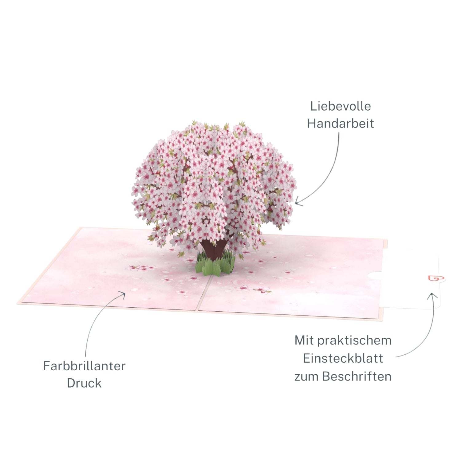 Kirschblütenbaum Pop-Up Karte