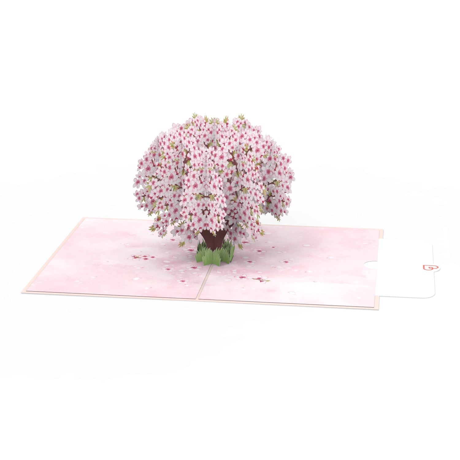 Kirschblütenbaum Pop-Up Karte