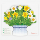 Narzissen Pop-Up Blumenstrauß