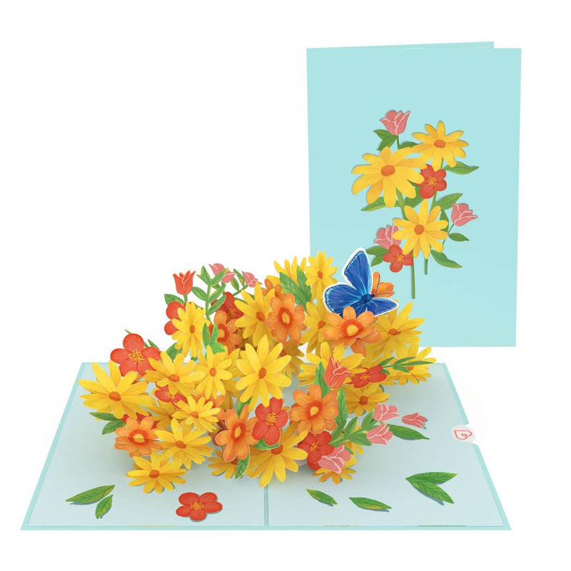 Bunte Gänseblümchen mit Schmetterling Pop-Up Karte