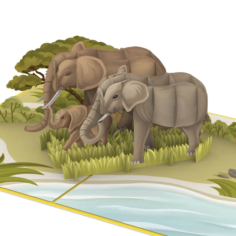 Elefanten Pop-Up Karte