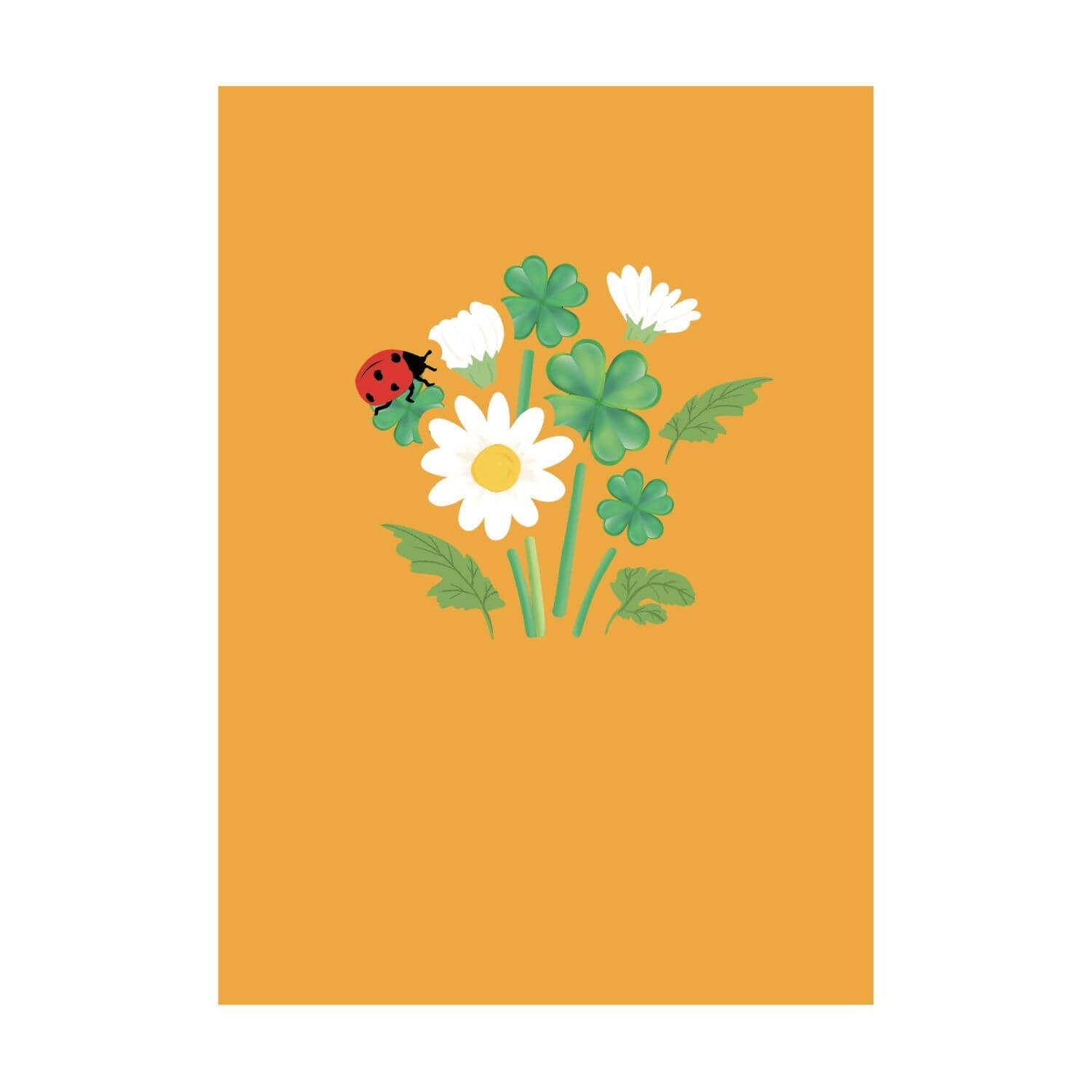 Gänseblümchen mit Marienkäfer Pop-Up Karte