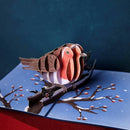 Rotkehlchen im Winter Pop-Up Karte