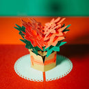 Weihnachtsstern Pop-Up Karte